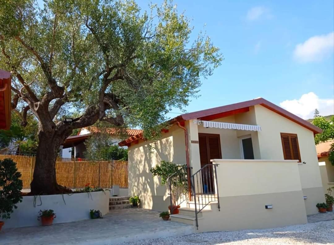Case Vacanze La Quercia Marina di Camerota Ngoại thất bức ảnh