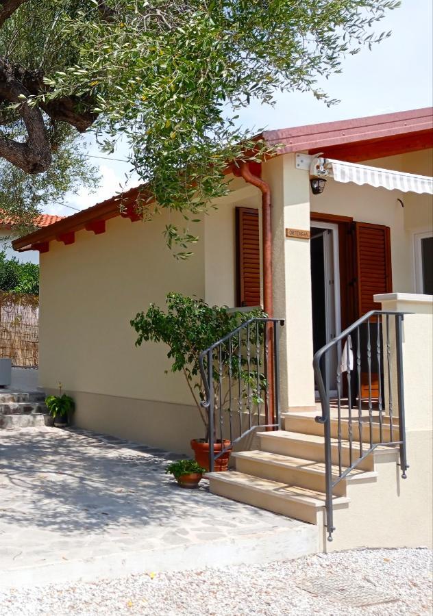Case Vacanze La Quercia Marina di Camerota Ngoại thất bức ảnh