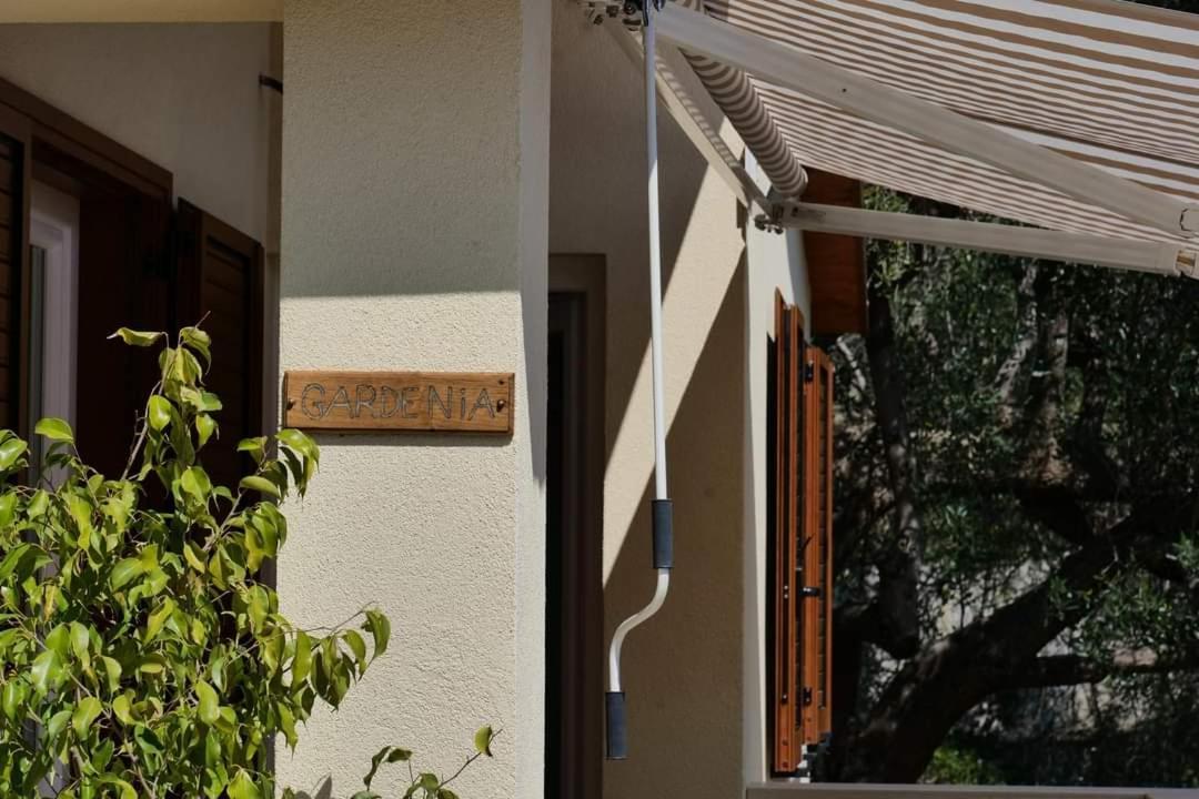 Case Vacanze La Quercia Marina di Camerota Ngoại thất bức ảnh