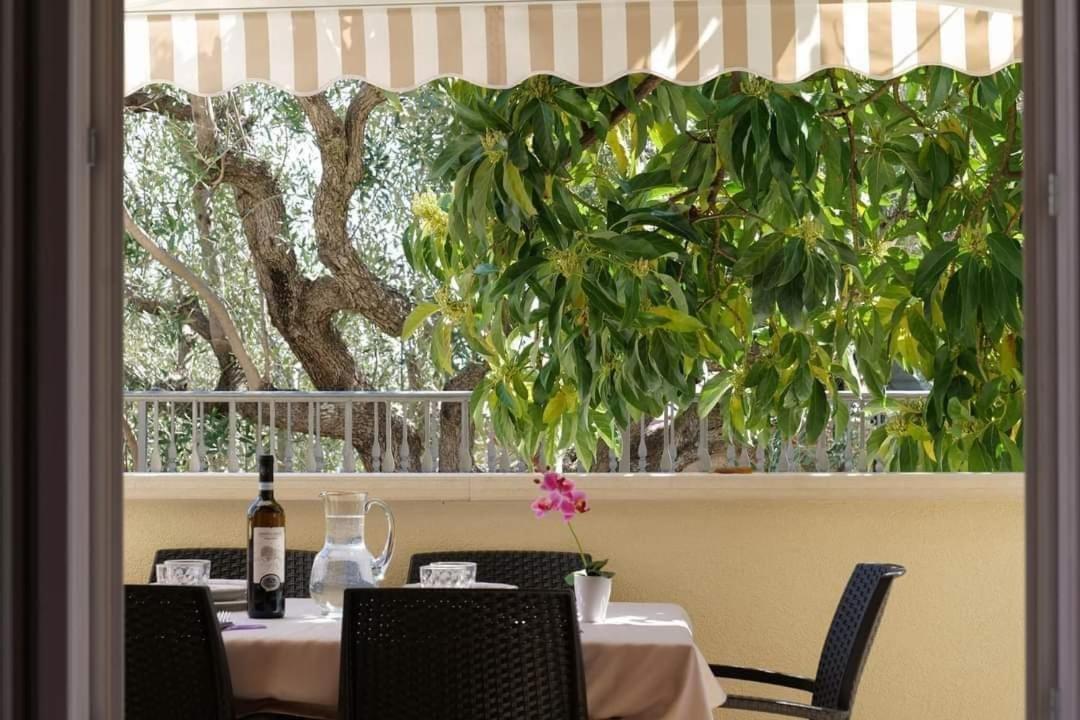 Case Vacanze La Quercia Marina di Camerota Ngoại thất bức ảnh